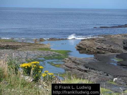 Around Downpatrick Head